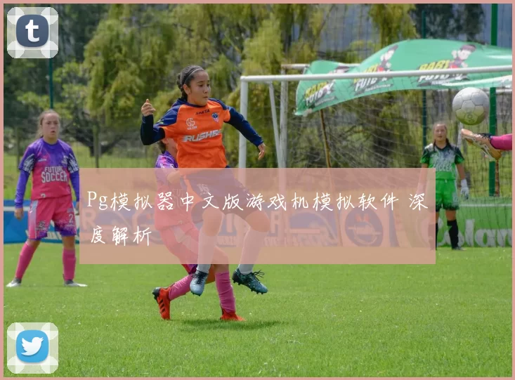 Pg模拟器中文版游戏机模拟软件 深度解析