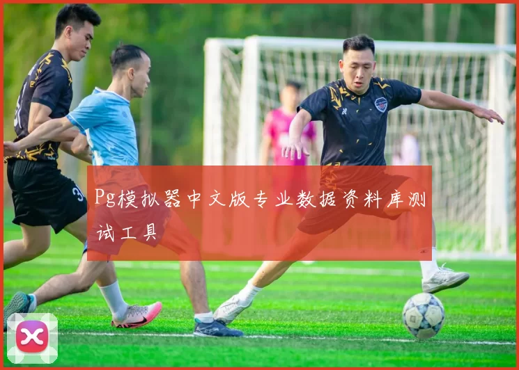 Pg模拟器中文版专业数据资料库测试工具