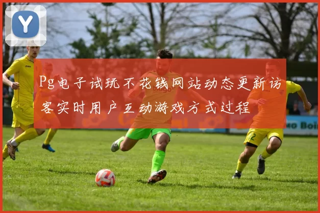 Pg电子试玩不花钱网站动态更新访客实时用户互动游戏方式过程