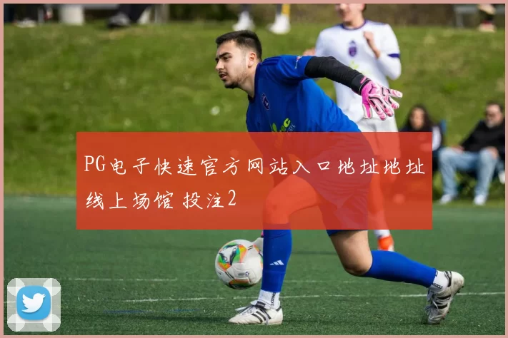 PG电子快速官方网站入口地址地址线上场馆 投注2