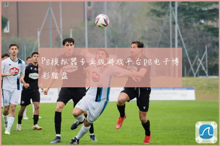 Pg模拟器专业版游戏平台pg电子博彩赌盘