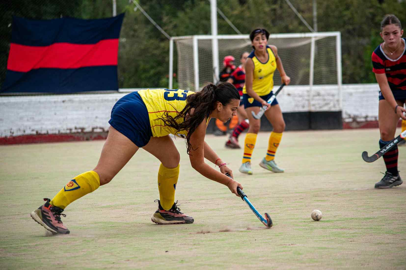 Pg模拟器中文版专业数据库管理工具